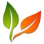 logo ghidplante